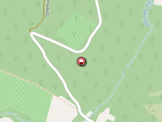 Carte de Haas Pénélope à Montbrison