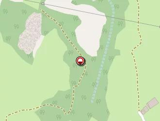 Carte de Siguenza Manuel à Saint-vincent-les-forts