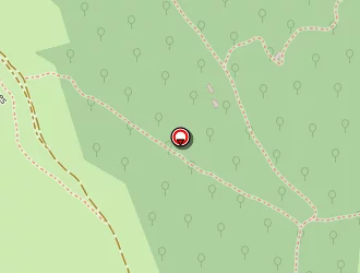 Carte de Frans Bonhomme à Cahors