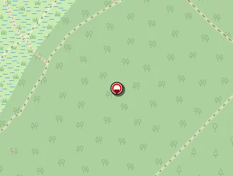 Carte de Dubern Dominique à Biscarrosse