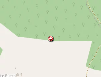 Carte de Laize Thomas à Salvagnac-cajarc