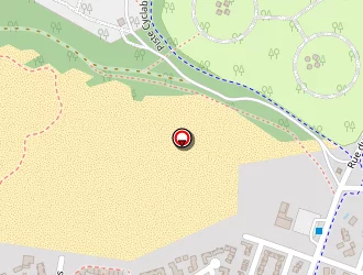 Carte de Ribeaucourt Sébastien à Biscarrosse