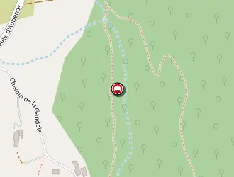 Carte de Harani Caroline à Lagorce