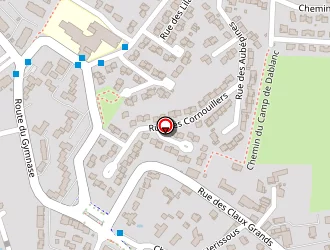 Carte de Transport Tmt à Pradines