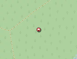 Carte de Baugier Emmanuel à Belin-béliet