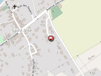 Carte de Fernandez Antoine à Saint-vite