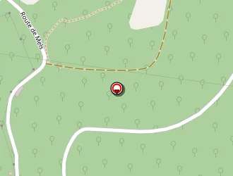 Carte de Pizzas Plus à Lamagdelaine