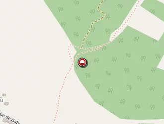 Carte de Guenser Ludovic à Montayral