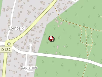 Carte de Rebollar Dominique à Sanguinet