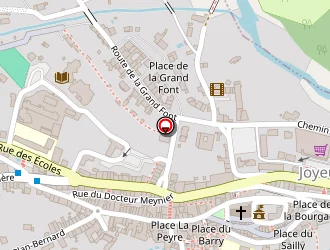 Carte de Ginko Biloba à Joyeuse