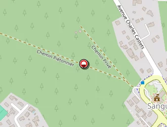 Carte de Benoist Thierry à Sanguinet