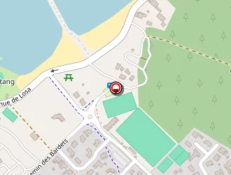 Carte de Pneus Services Rapides Psr à Sanguinet