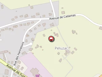 Carte de Vazanna à Montayral