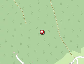 Carte de Dols Michel à Saint-géry