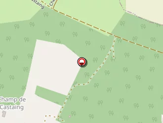 Carte de Chick David à Noaillan