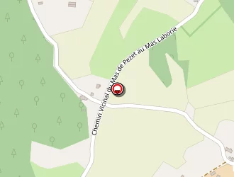 Carte de Taxi Merle à Saint-chels