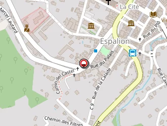 Carte de Bessiere Guy à Espalion