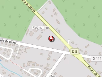 Carte de Miellerie Beaussire à Saint-pierre-sur-dropt