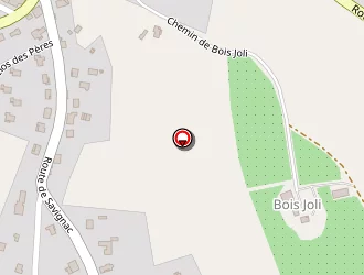 Carte de Deleens Claire à Monflanquin