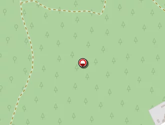 Carte de Gomez Arnaud à Salles