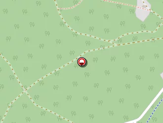 Carte de Restaurant Laouga à Teste-de-buch (la)