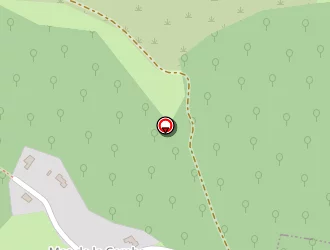 Carte de Pisonero Traiteur à Maxou