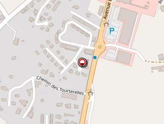 Carte de Lada Relais Des Alpes Concess. à Gap