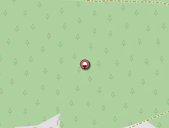 Carte de Pleynet Agnès à Salles