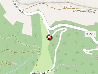 Carte de Calmels Martine à Pruines