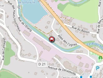 Carte de Tendances Fleurs à Firmi