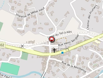 Carte de Perfect Hair à Teil (le)