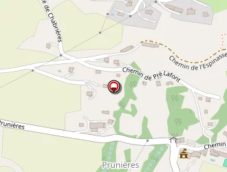 Carte de Farnaud Jerome à Prunières