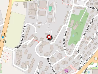 Carte de Delebarre Vincent à Gap