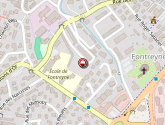 Carte de Gonfard Véronique à Gap