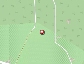 Carte de Y Zauza à Budos