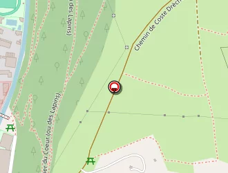 Carte de Raynal à Marvejols