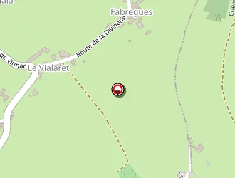 Carte de Costes Roger à Estaing