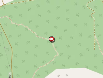 Carte de Bayonnove Mathieu à Catus