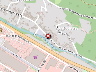 Carte de Mcdonald's à Decazeville