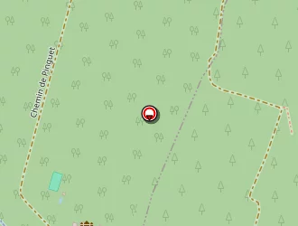 Carte de Morisse Patrick (06.83.22.00.88) à Landiras