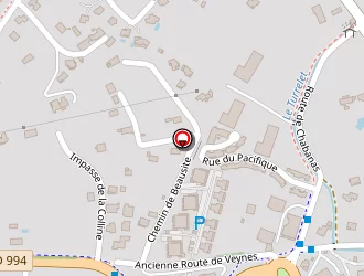 Carte de Michelis Lucien à Gap