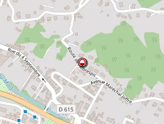 Carte de Jaafar Corré Monia à Decazeville