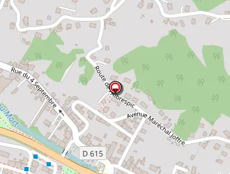 Carte de Brassac Fleuristes à Decazeville