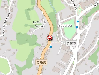 Carte de Desailly Caroline à Decazeville