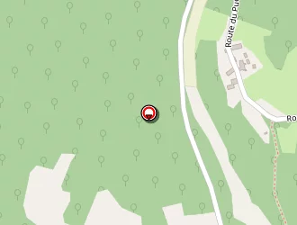 Carte de Mairie à Montgesty