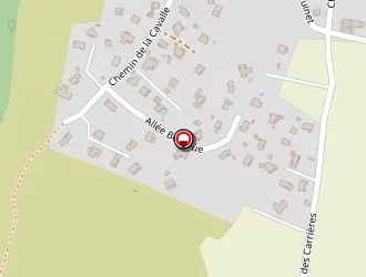 Carte de Eyraud Suzi à Lavilledieu