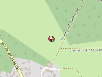 Carte de Ricaud Jean-michel à Landiras