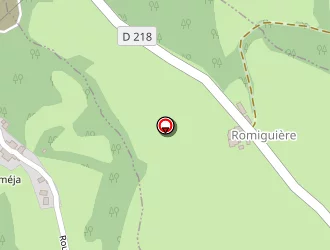 Carte de Rouquette Patrick à Decazeville