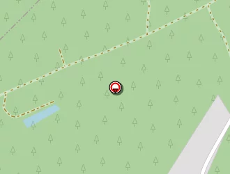 Carte de Forcet Roseline à Salles