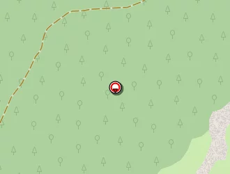 Carte de Ursulet Philippe à Saix (le)